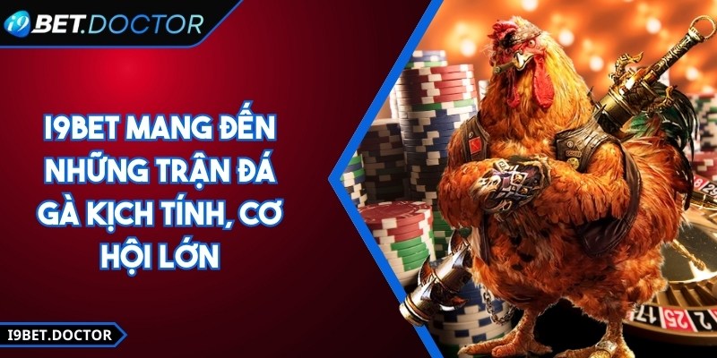 I9BET | I9 BET | Link Đăng Nhập Nhà Cái I9BET.COM Chính Thức 12/2025 25 i9Bet mang đến những trận đá gà kịch tính, cơ hội lớn