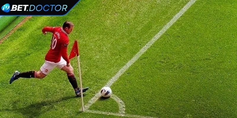 Mẹo thống kê trước khi tham gia